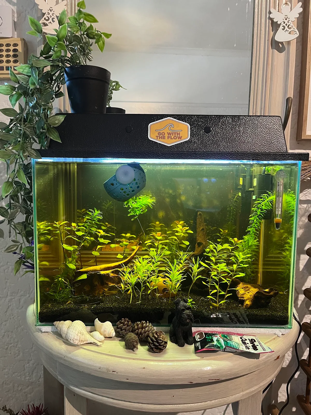 A small planted desk aquarium
