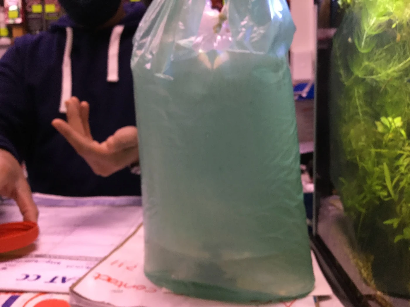 A bag of fish being handed over the counter