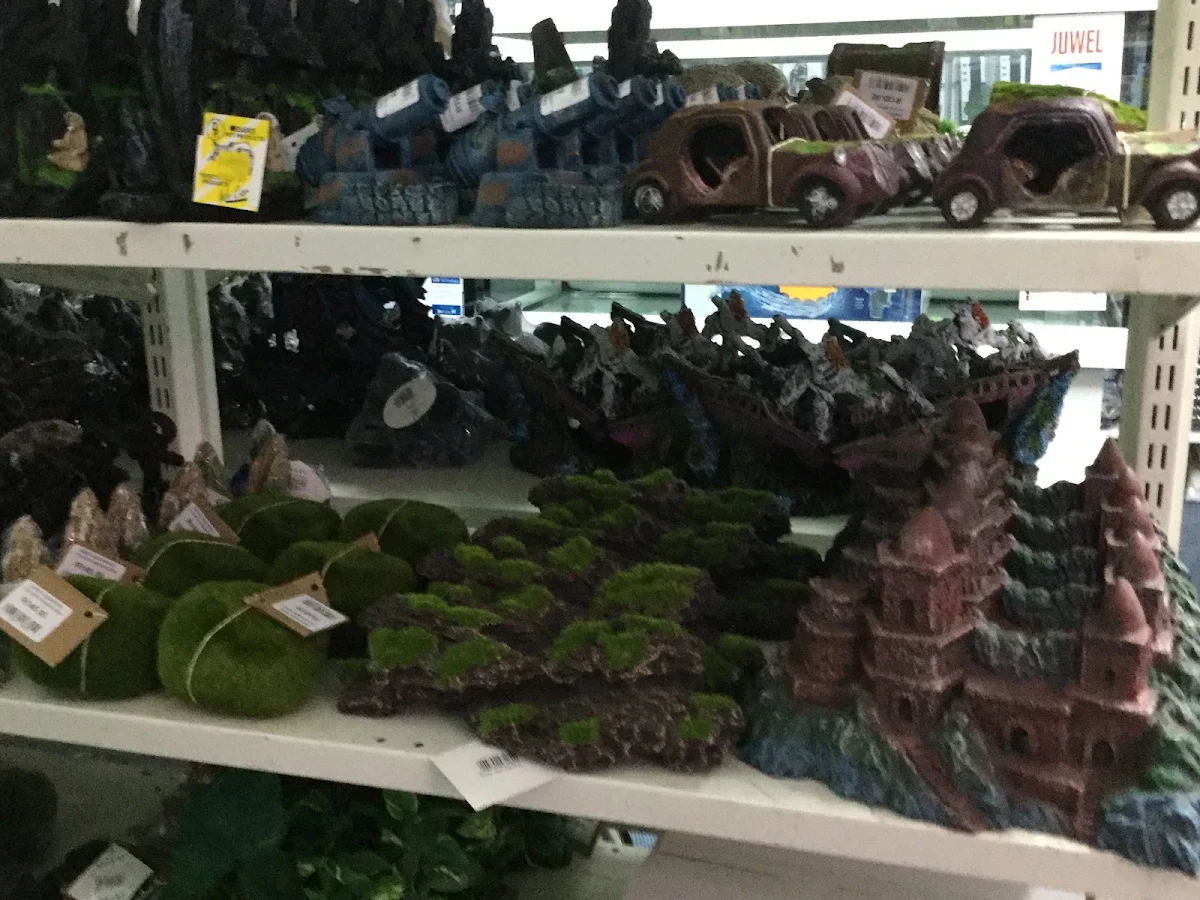 Shelves of aquarium ornaments