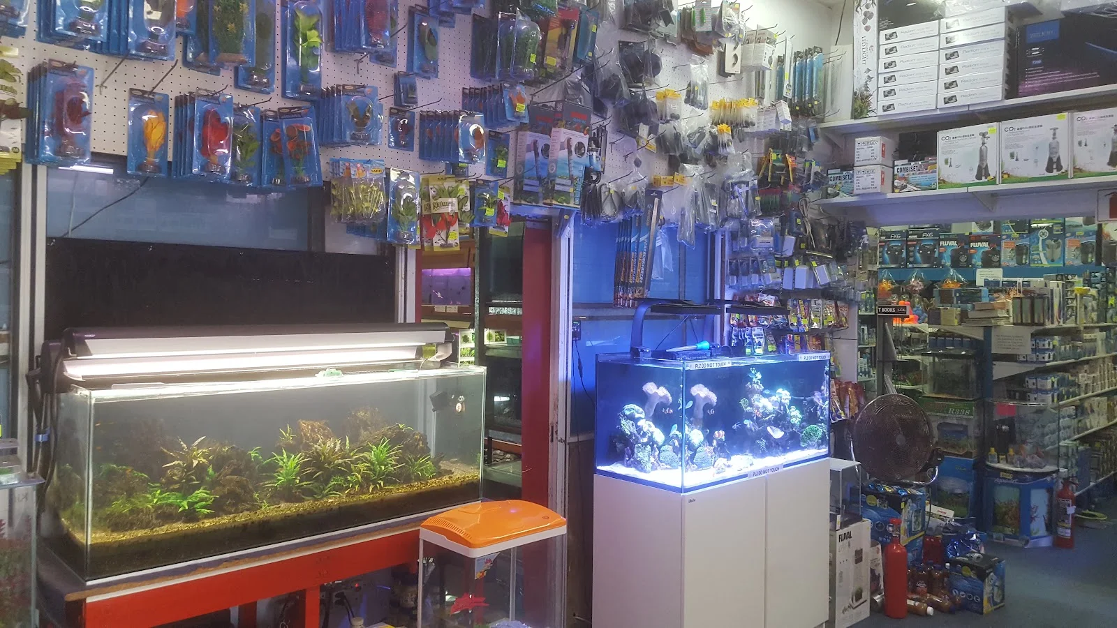 Inside the shop: display aquariums under hanging equipment and accessories