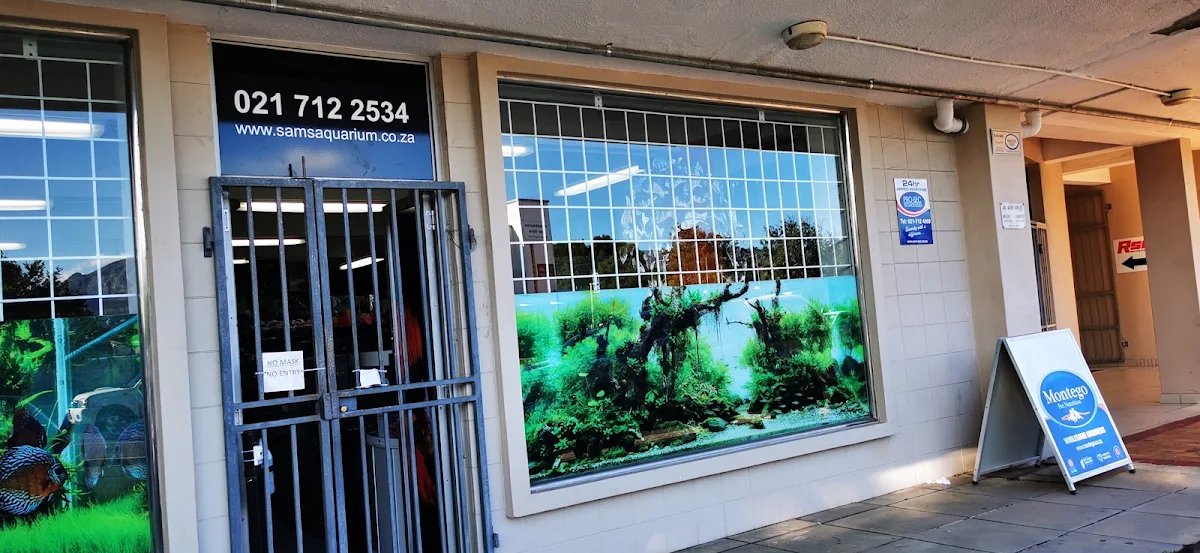 The shop window with its aquarium mural